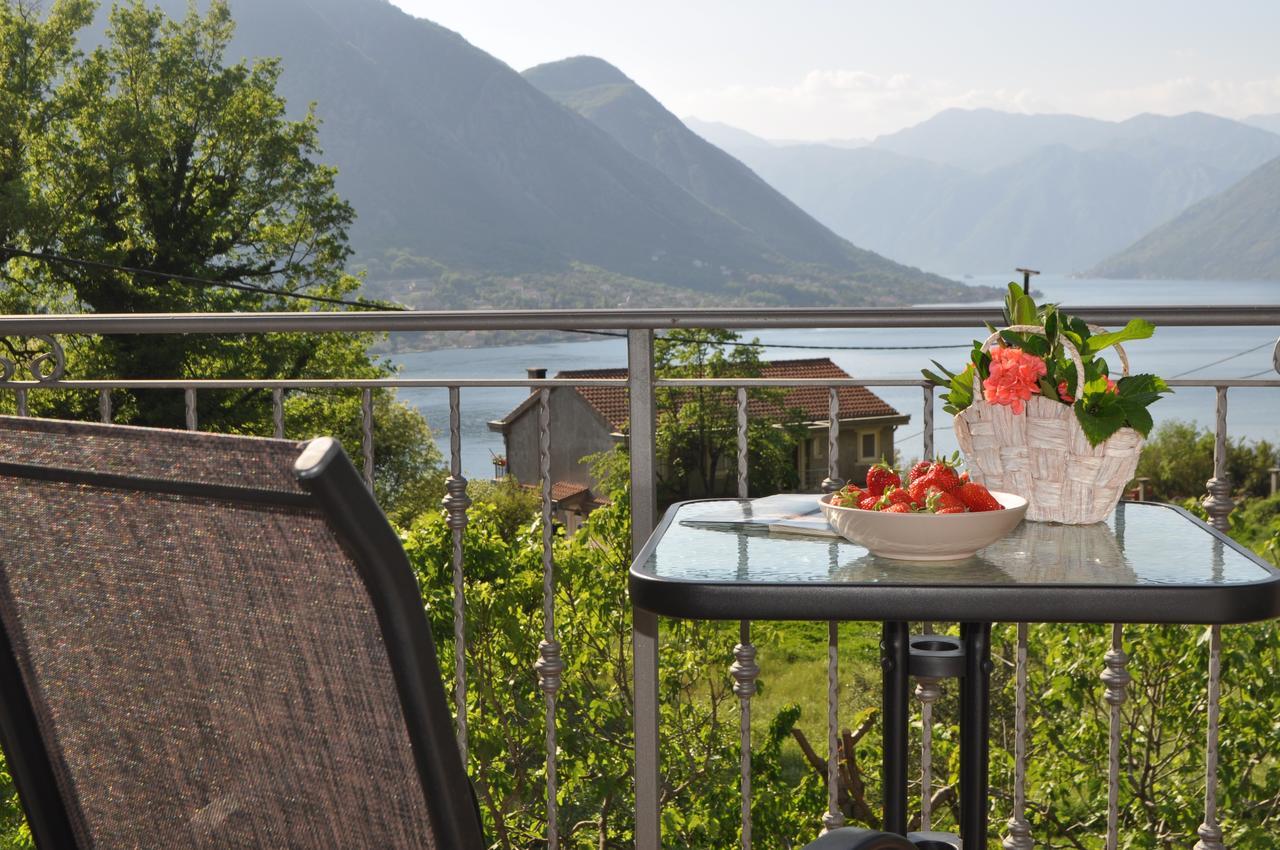 Apartment Maritimo Kotor Bagian luar foto